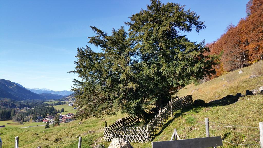 Gaestehaus Bergfrieden Bolsterlang Esterno foto